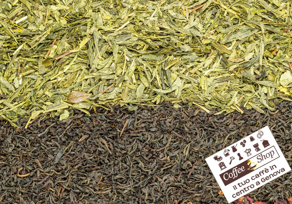 Tè Verde o Tè Nero? Scopri le Differenze e i Benefici per la Salute