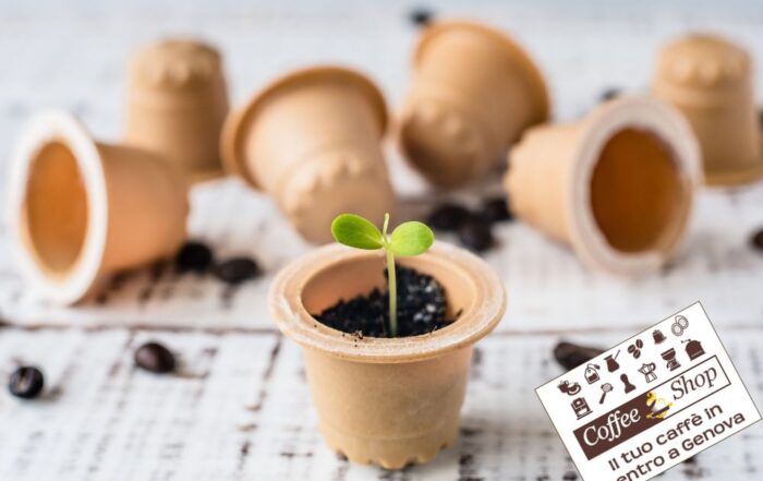 capsule compostabili