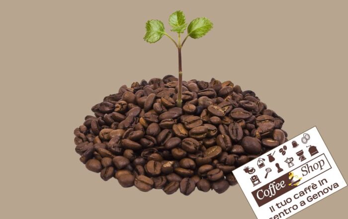 caffe sostenibile